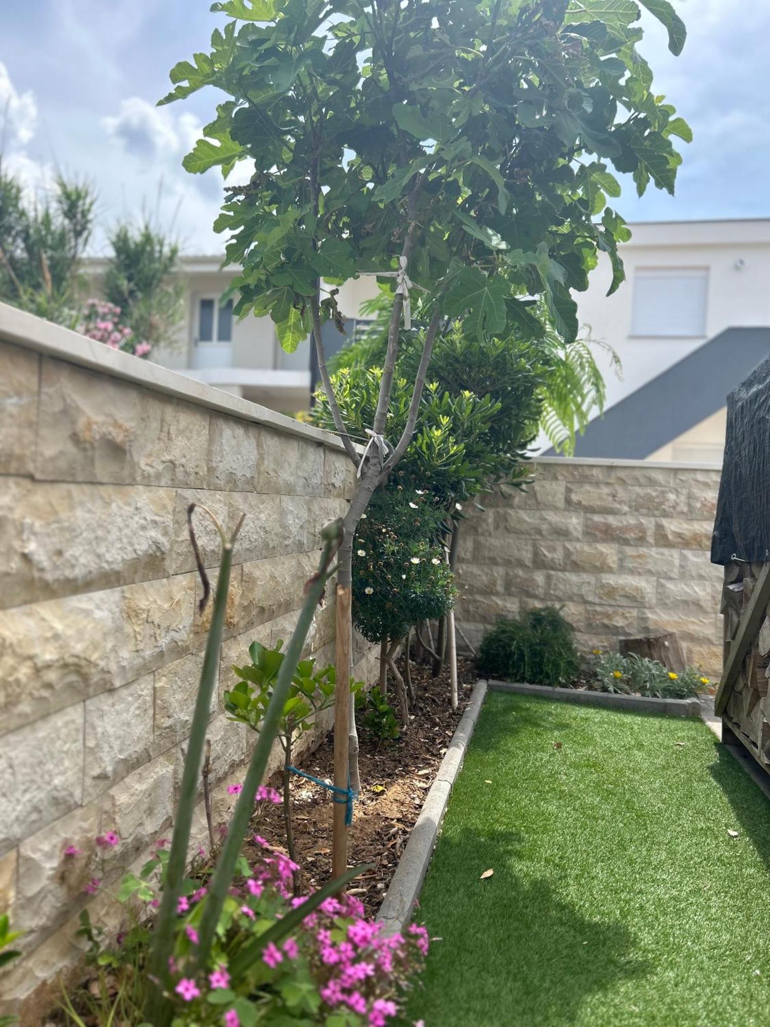 Velebit View Apartment Vir Exterior foto