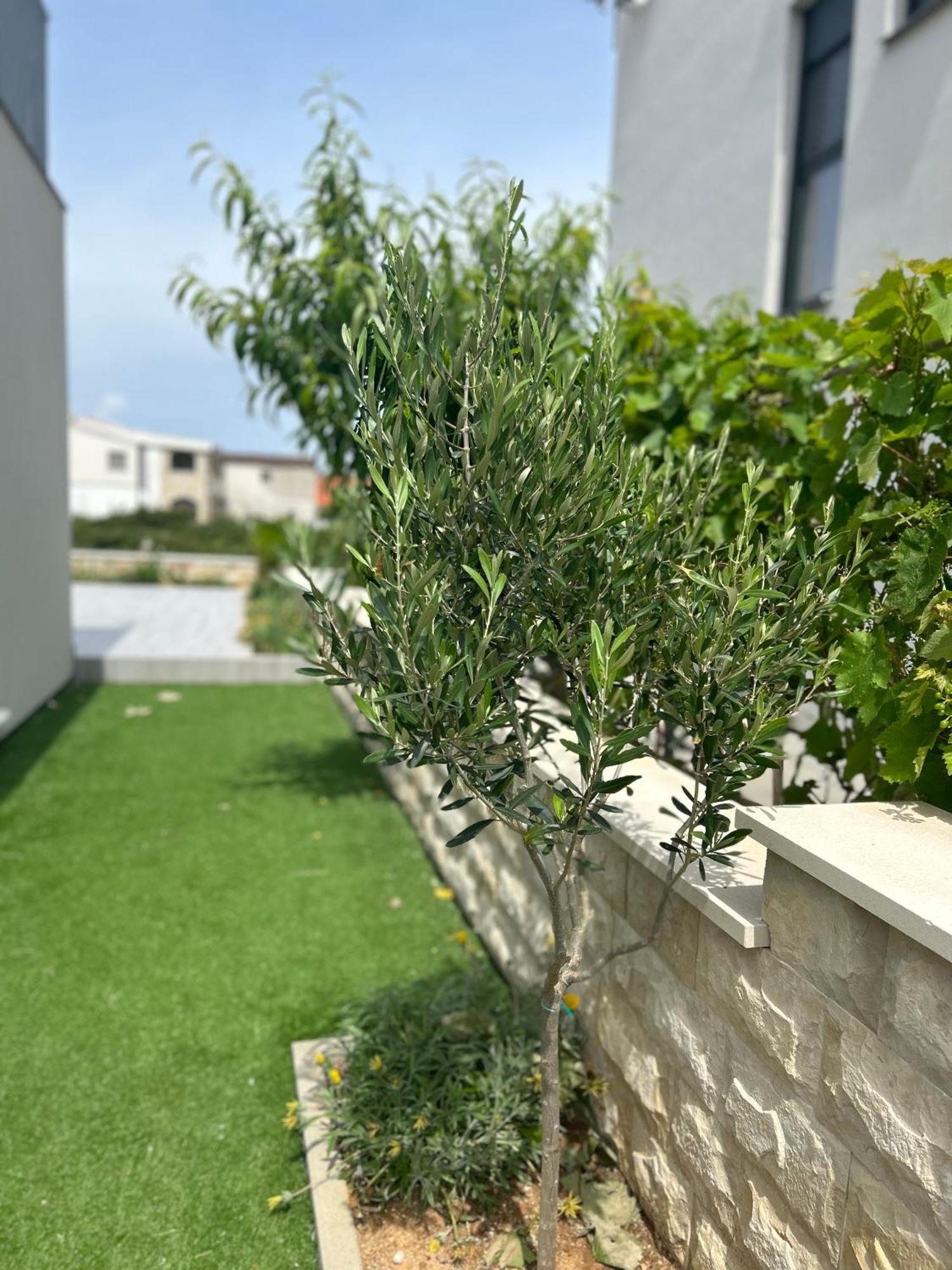 Velebit View Apartment Vir Exterior foto